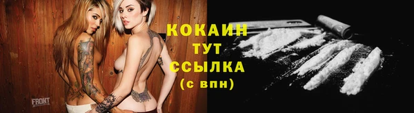 PSILOCYBIN Аркадак