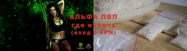 ПСИЛОЦИБИНОВЫЕ ГРИБЫ Арсеньев