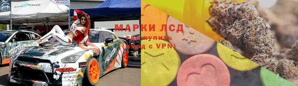 ПСИЛОЦИБИНОВЫЕ ГРИБЫ Арсеньев