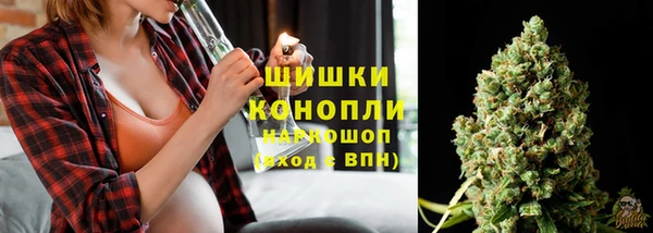 ПСИЛОЦИБИНОВЫЕ ГРИБЫ Арсеньев