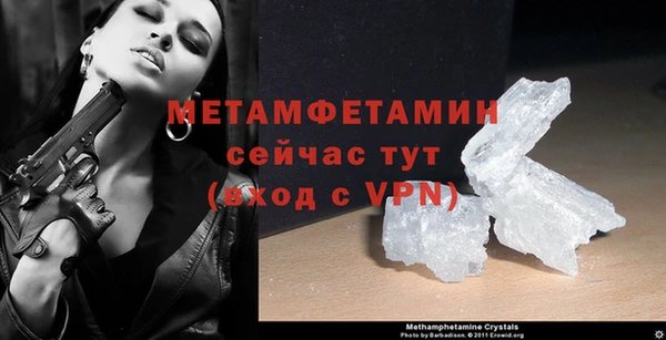 PSILOCYBIN Аркадак