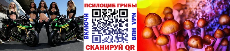 Галлюциногенные грибы Psilocybine cubensis  Купить закладки  Соликамск 